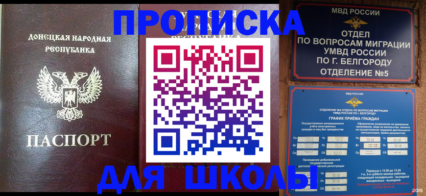 прописка для работы в Видном